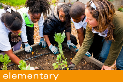 Elementary - vegetable garden